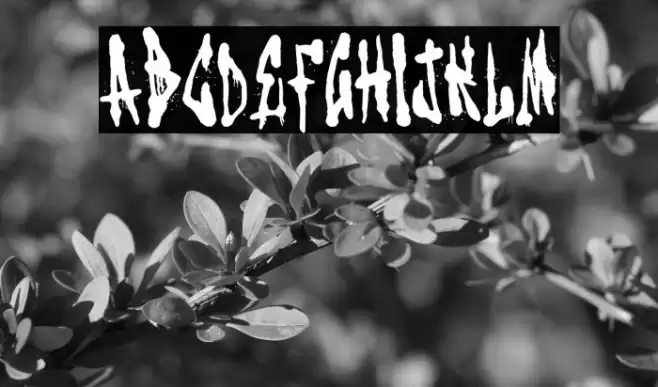 Old Vandals Crew Font examples