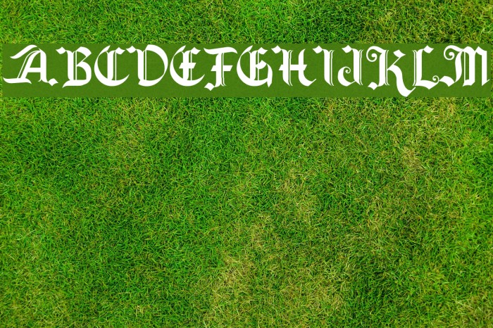Old Wise Lord Font examples