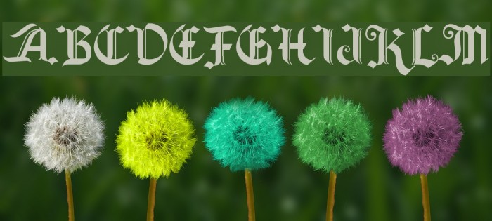Old Wise Lord Font examples