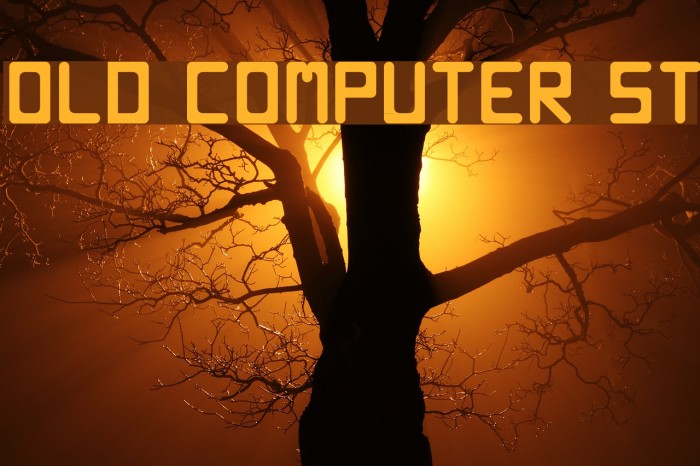 Old computer St Font examples