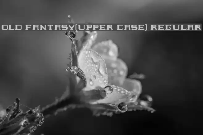 Old fantasy[upper case] Regular Font examples