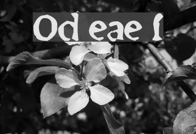 Old newspaper font Polices examples