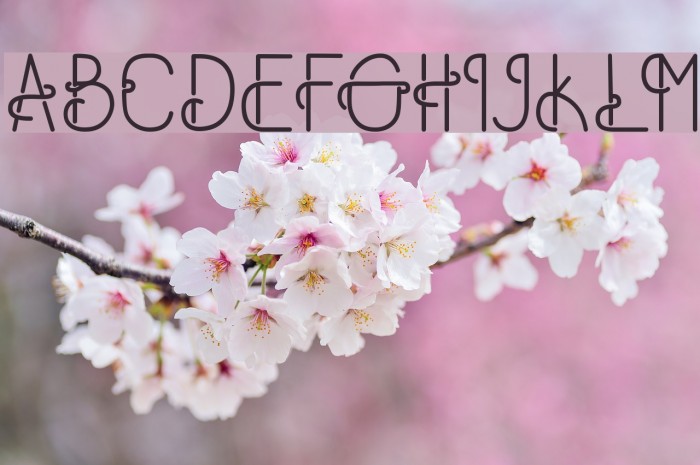 OldAlpha Font examples