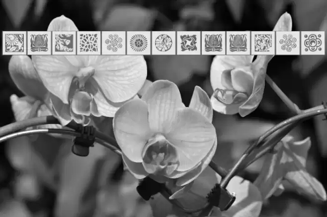 OldArtGallery Fuentes examples