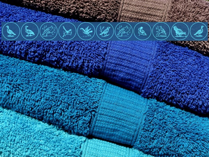OldBirdsTwo Font examples