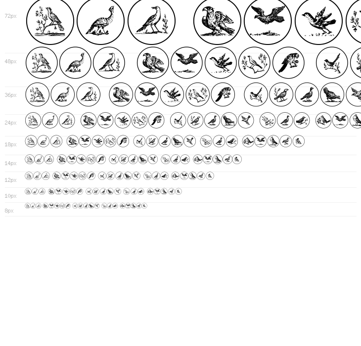 OldBirdsTwo Waterfall