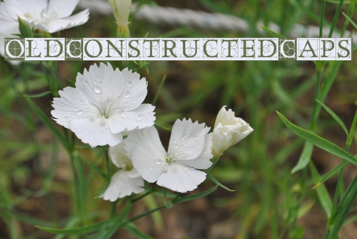 OldConstructedCaps Font examples