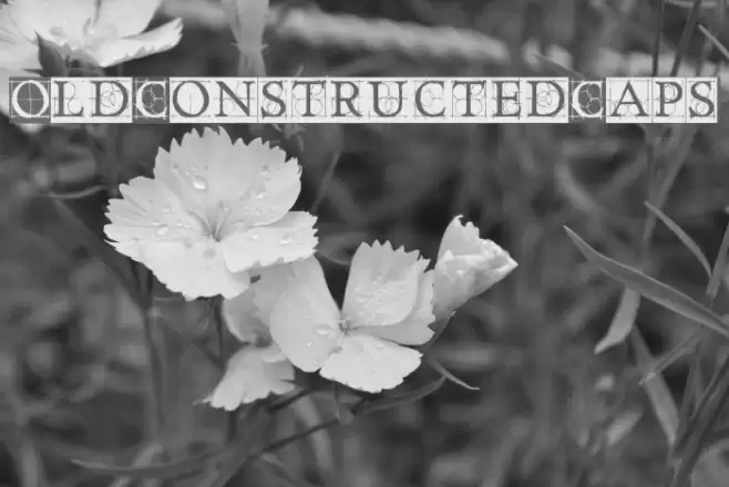 OldConstructedCaps Caratteri examples