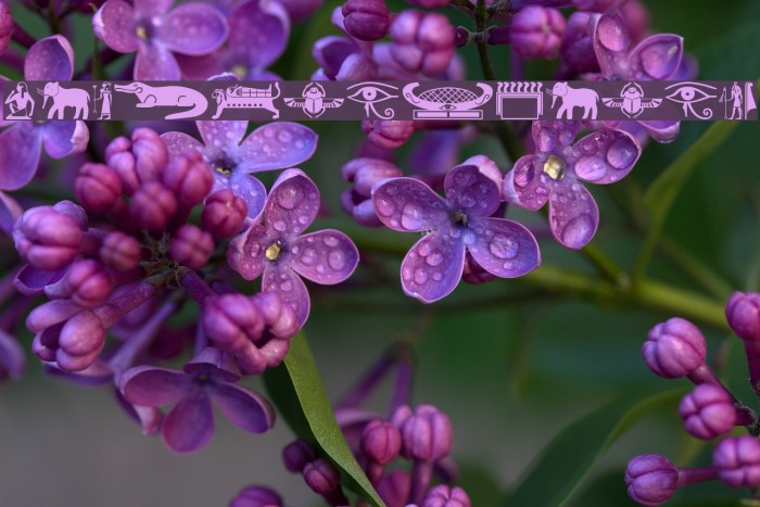 OldEgyptGlyphs Example 2