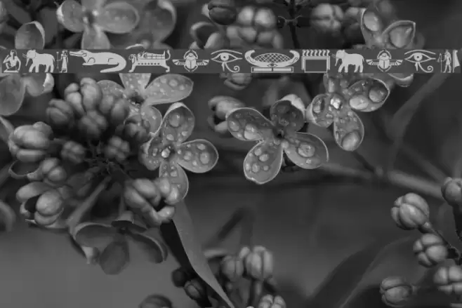 OldEgyptGlyphs Font examples