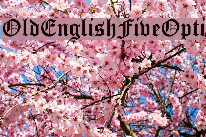OldEnglishFiveOpti Font examples