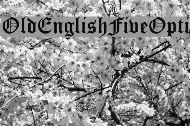 OldEnglishFiveOpti Font examples