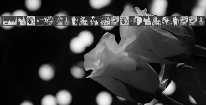 OldFashionedClichees Caratteri examples