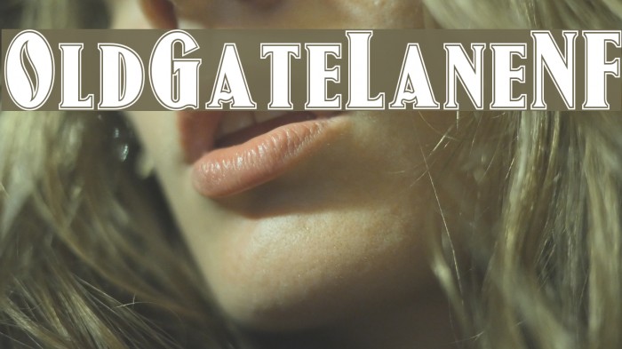 OldGateLaneNF Example 1