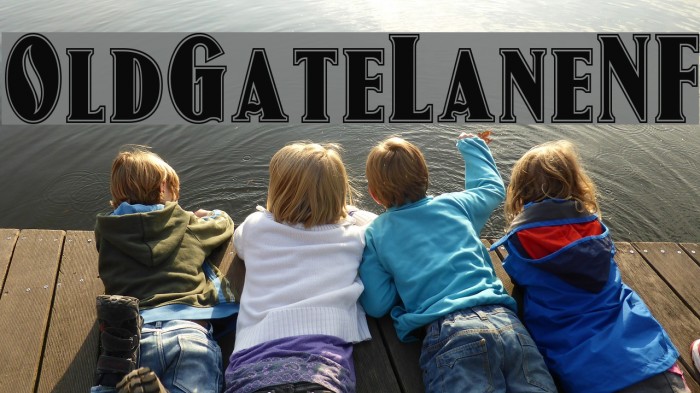 OldGateLaneNF Example 2