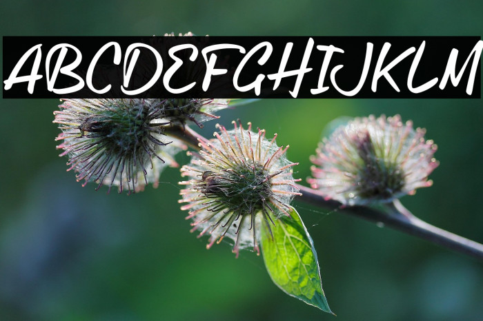 OldLetterhandTRIAL Example 3