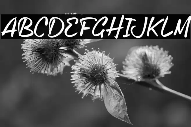 OldLetterhandTRIAL Font examples