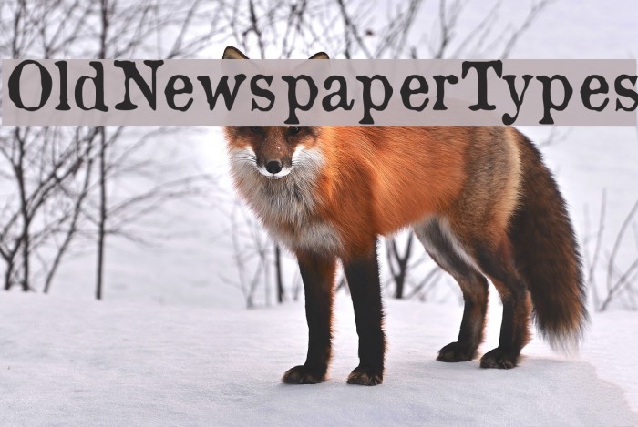 OldNewspaperTypes Font examples