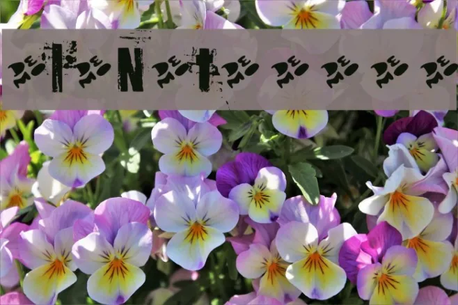 OldNoteDemo Example 1