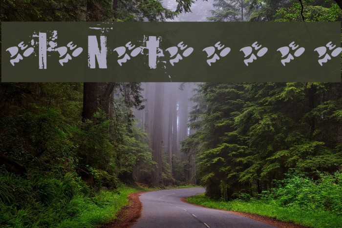 OldNoteDemo Font examples