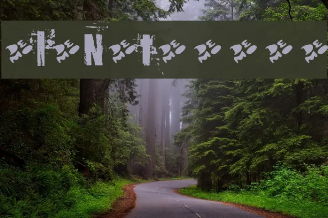 OldNoteDemo Example 3