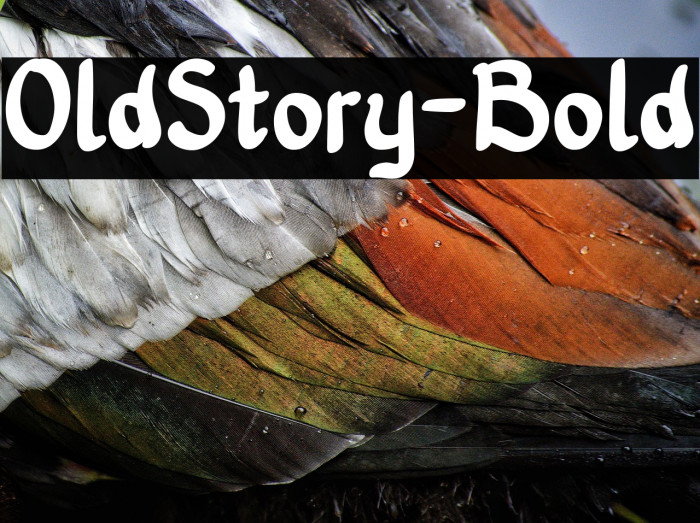 OldStory-Bold Example 3