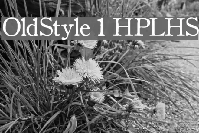 OldStyle 1 HPLHS Font examples