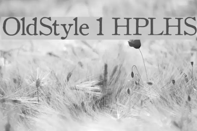 OldStyle 1 HPLHS Font examples