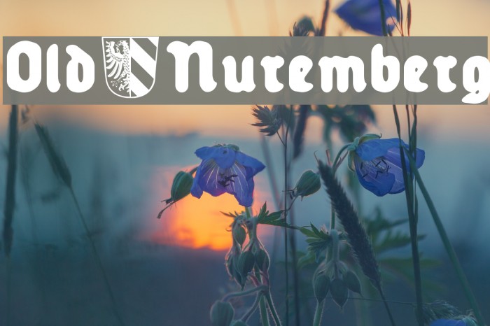Old_Nuremberg Font examples