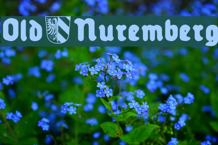 Old_Nuremberg Font examples