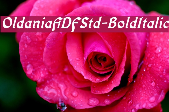 OldaniaADFStd-BoldItalic Font examples