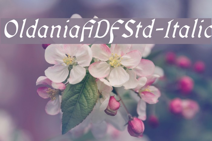 OldaniaADFStd-Italic Font examples