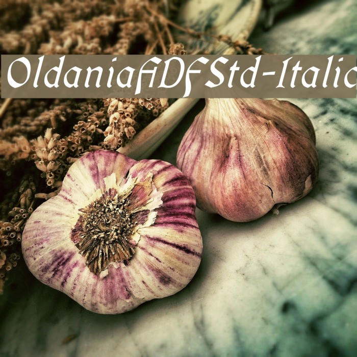 OldaniaADFStd-Italic Font examples