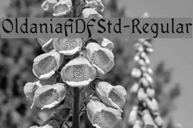OldaniaADFStd-Regular Fuentes examples