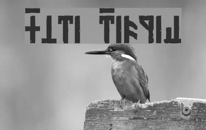 Olde Dethek Font examples