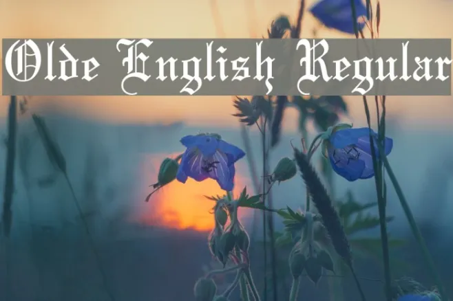 Olde English Regular Example 1