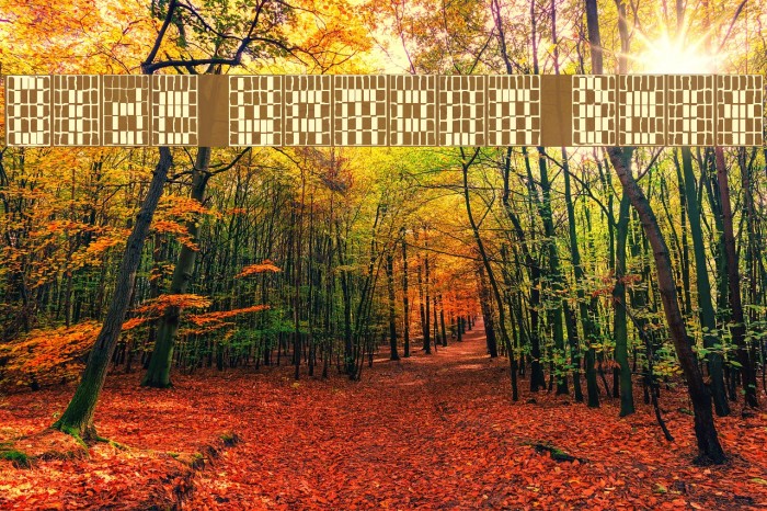 Olde Wampum Belt Example 2