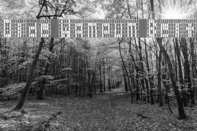 Olde Wampum Belt Font examples