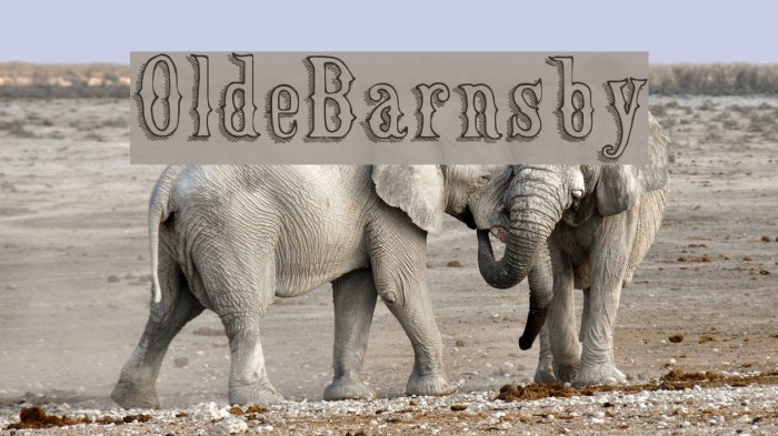 OldeBarnsby Example 1