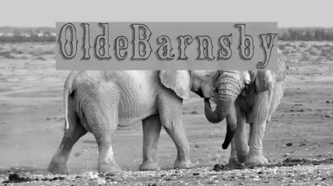 OldeBarnsby Font examples