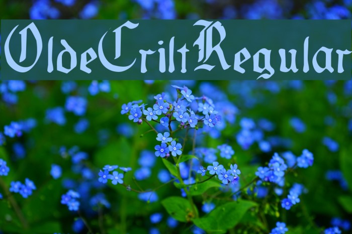 OldeCriltRegular Font examples