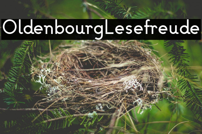 OldenbourgLesefreude Example 1