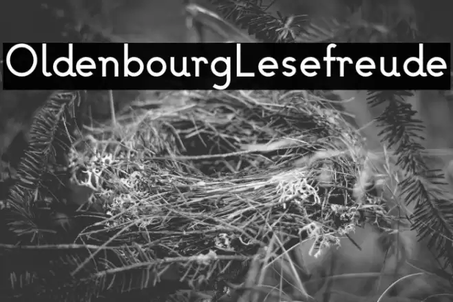 OldenbourgLesefreude Font examples