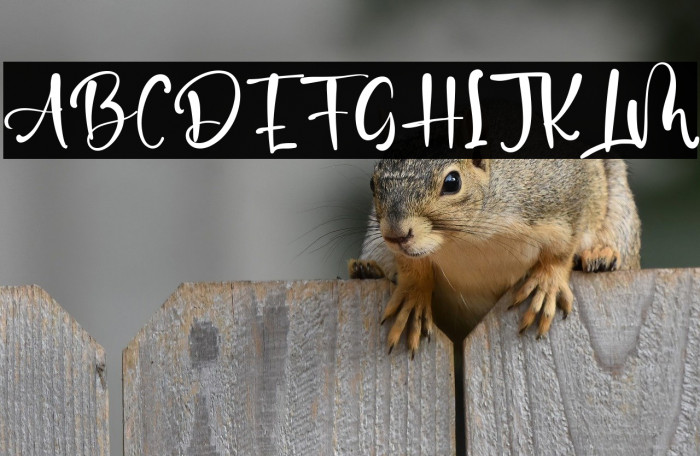 Older Boys Example 3