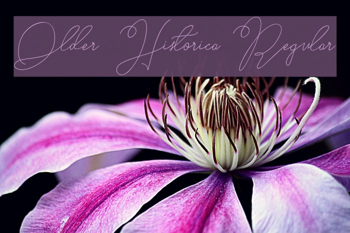 Older Historica Regular Example 1