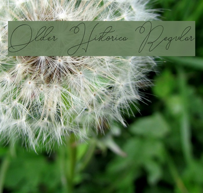 Older Historica Regular Example 2