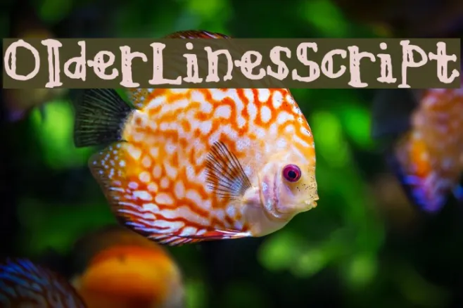 OlderLinesScript Example 3