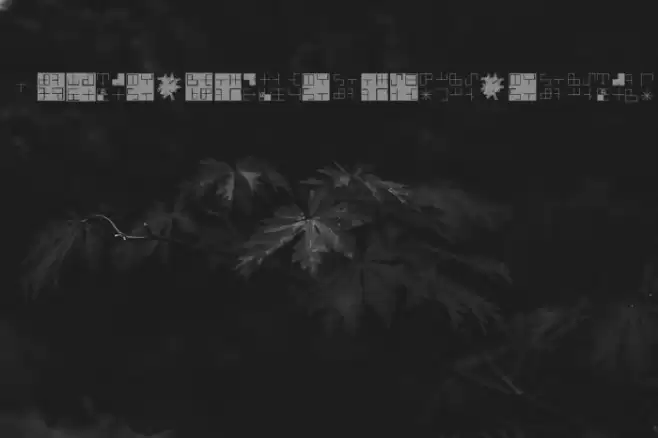 OlderTypographicTraces Font examples