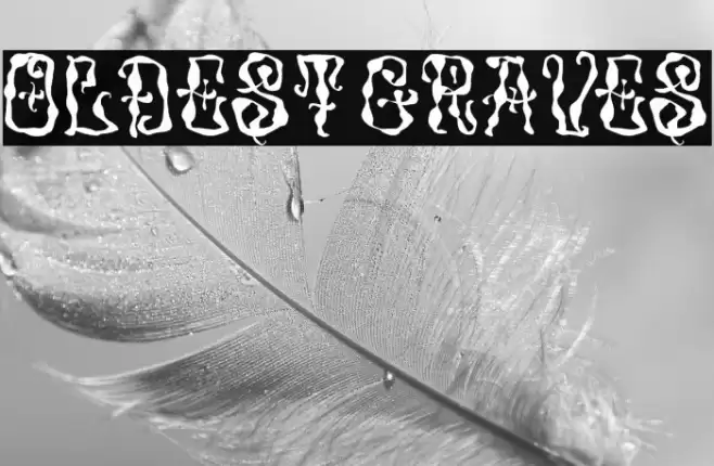 Oldest Graves Font examples