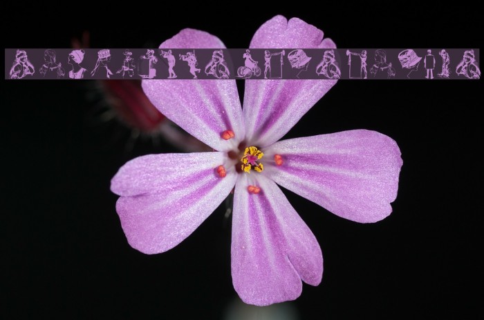 OldfashionPeopleTwo Example 1